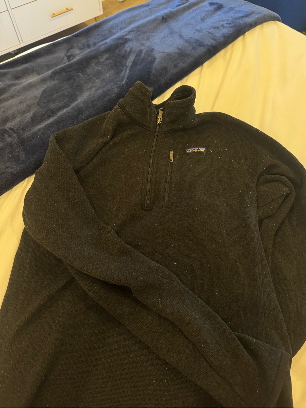 Patagonia Men's Black Half-Zip Fleece Pullover
